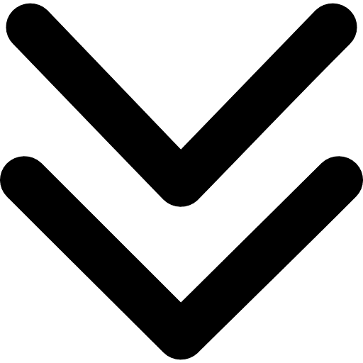 double arrow bottom icon